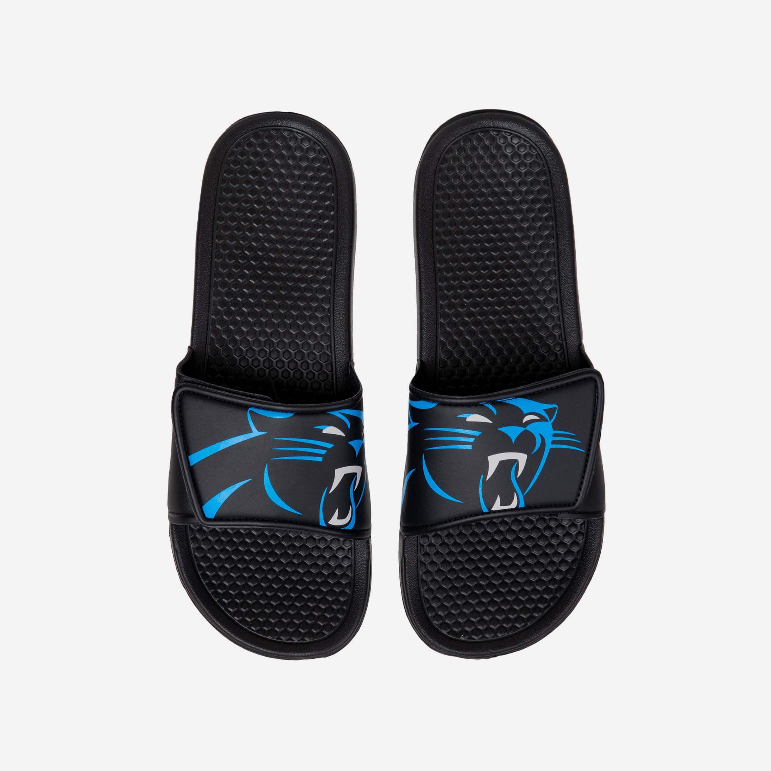 Carolina Panthers Cool Cropped Big Logo Slides